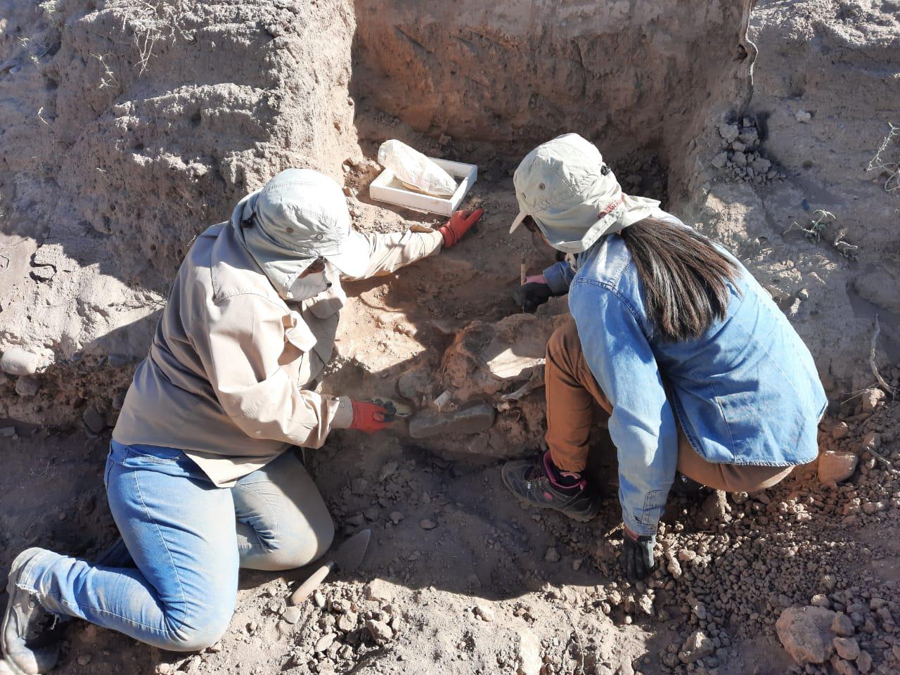 WhatsApp Image 2024-08-09 at 11.40.33