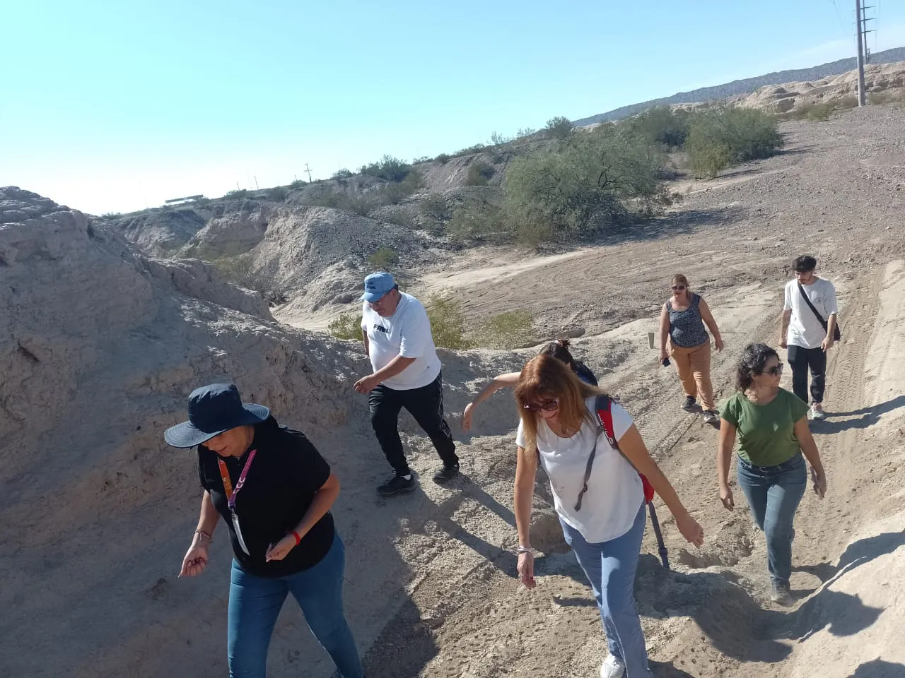 WhatsApp Image 2025-04-07 at 13.07.44