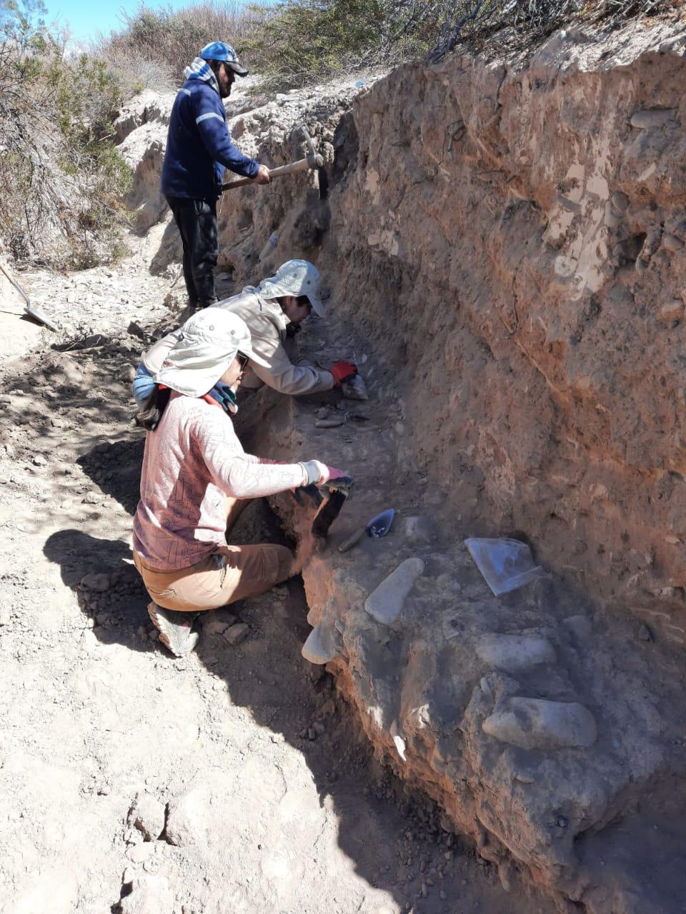 WhatsApp Image 2024-08-09 at 11.40.32