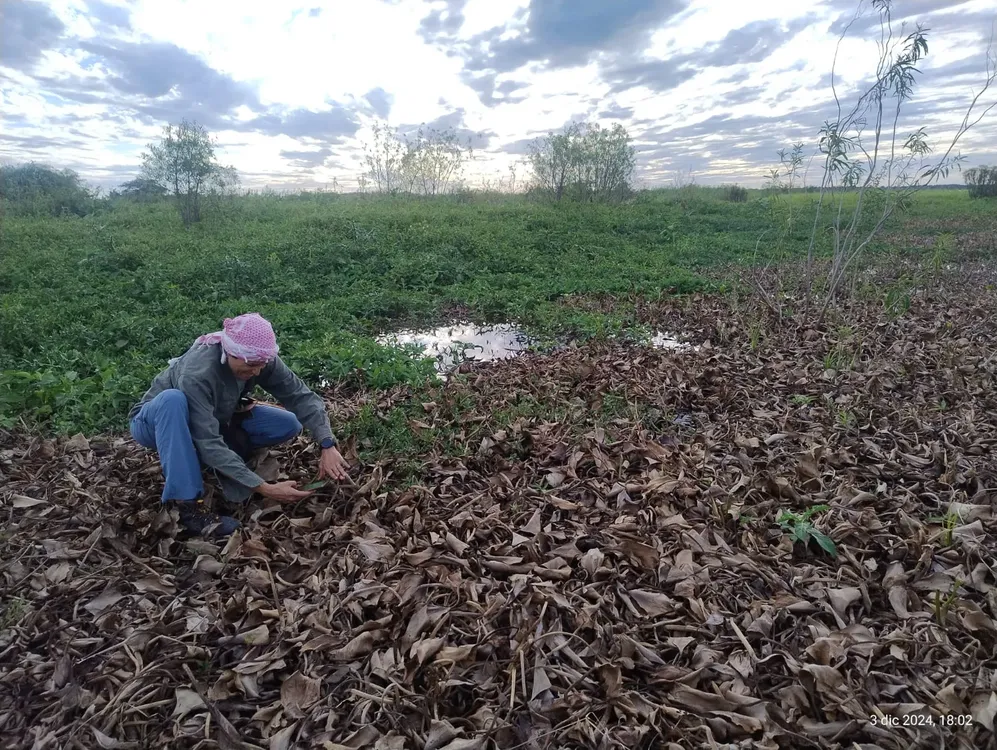 WhatsApp Image 2025-04-14 at 09.15.21 (2)