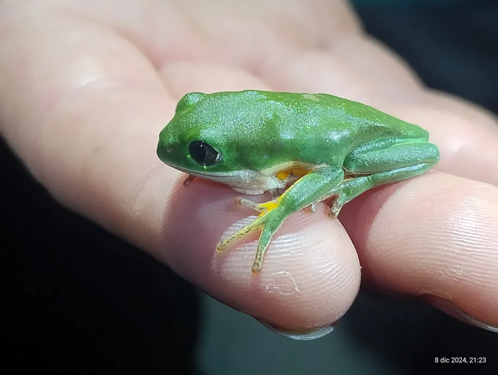 WhatsApp Image 2025-04-14 at 09.15.20