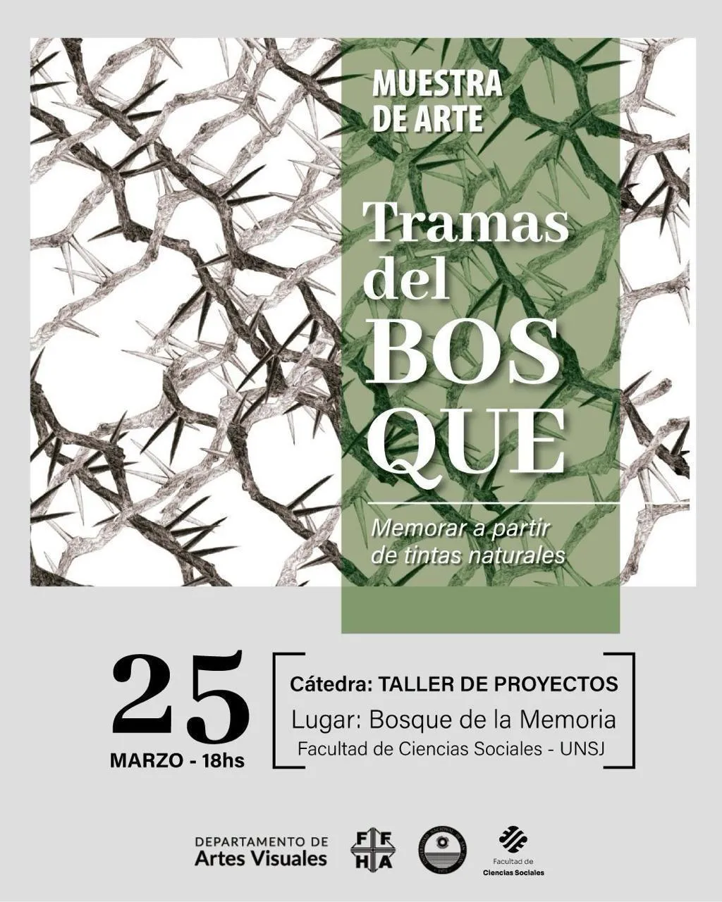 WhatsApp Image 2025-03-20 at 11.59.30