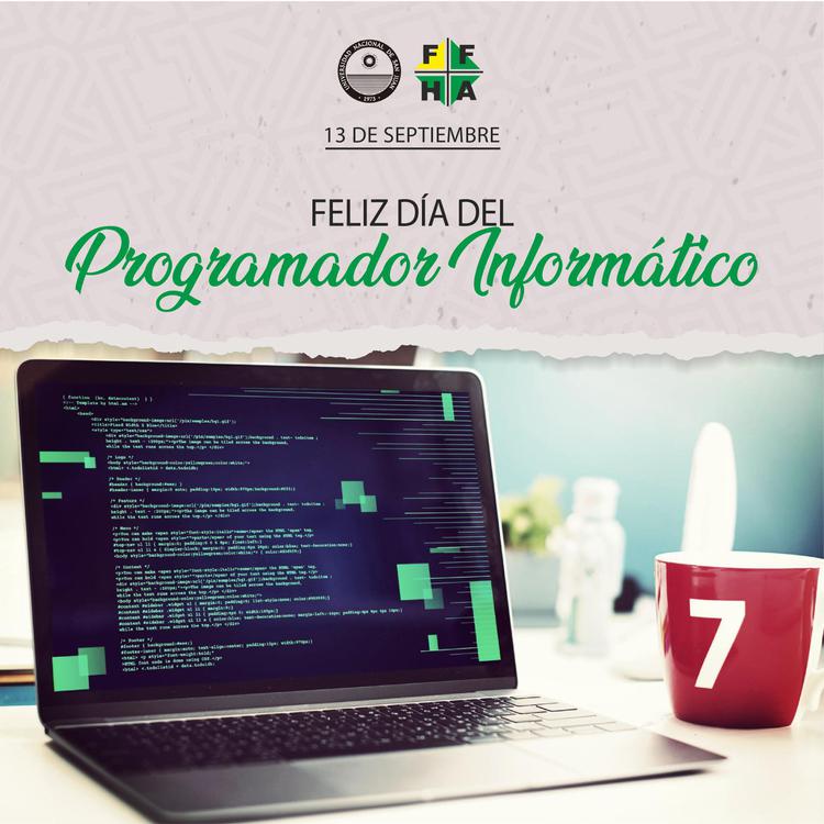 programador