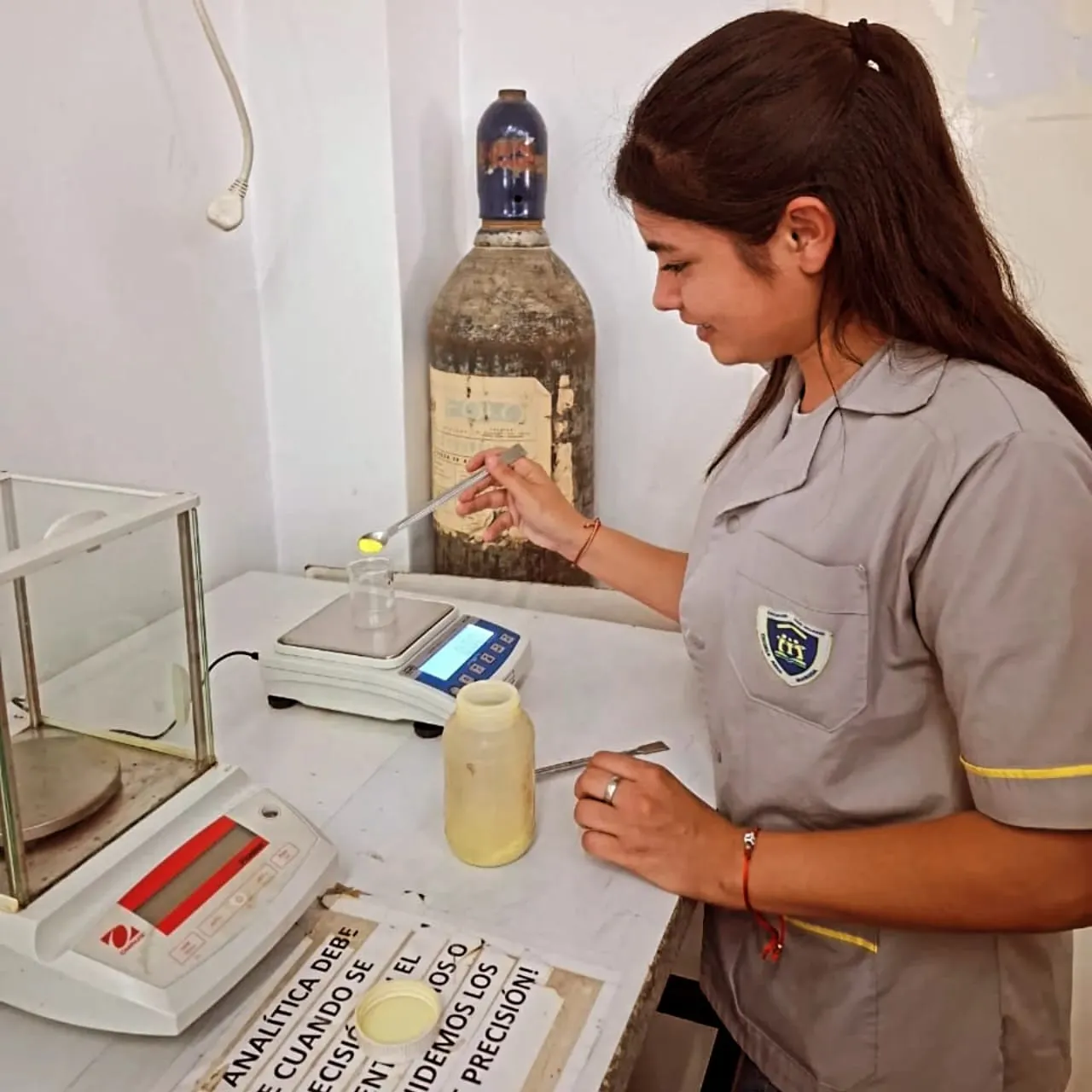 WhatsApp Image 2024-11-01 at 12.15.29