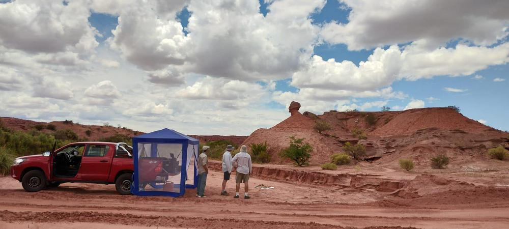 WhatsApp Image 2024-07-23 at 11.39.02