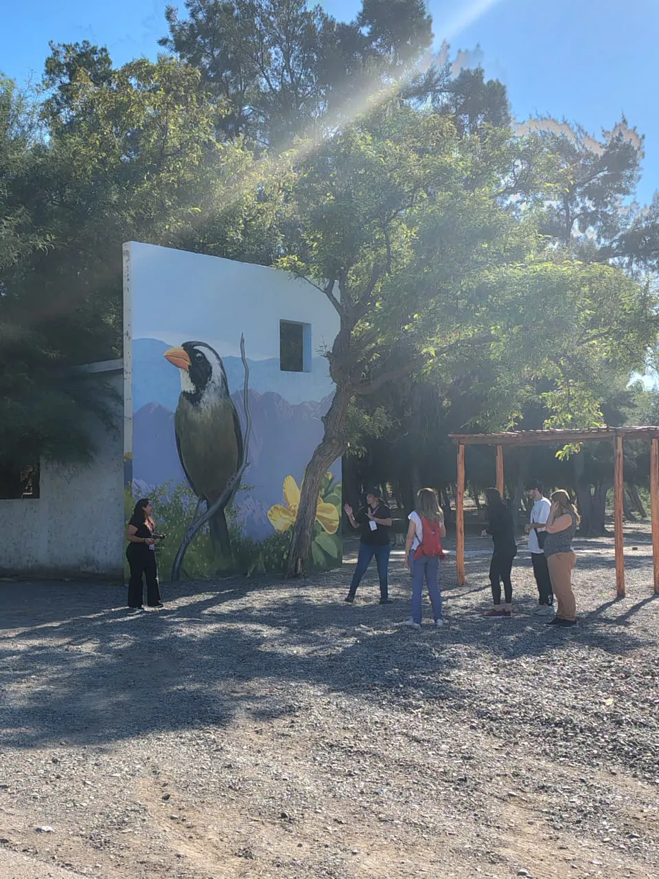 WhatsApp Image 2025-04-07 at 13.07.28